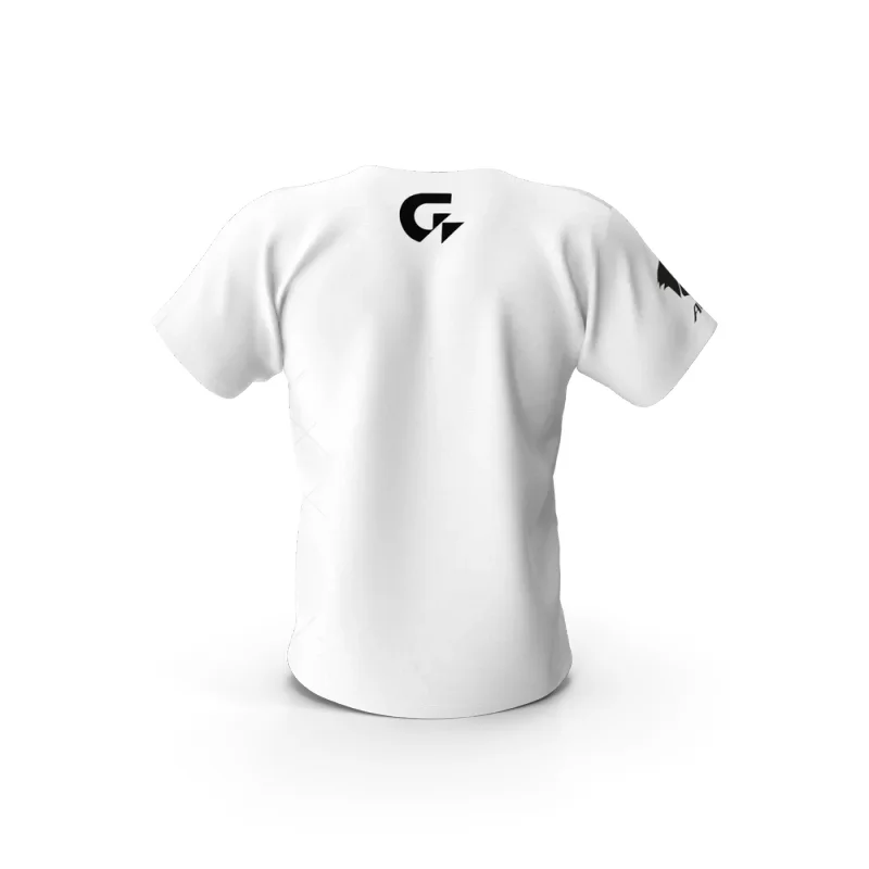Gigabyte Aorus Men Tshirt