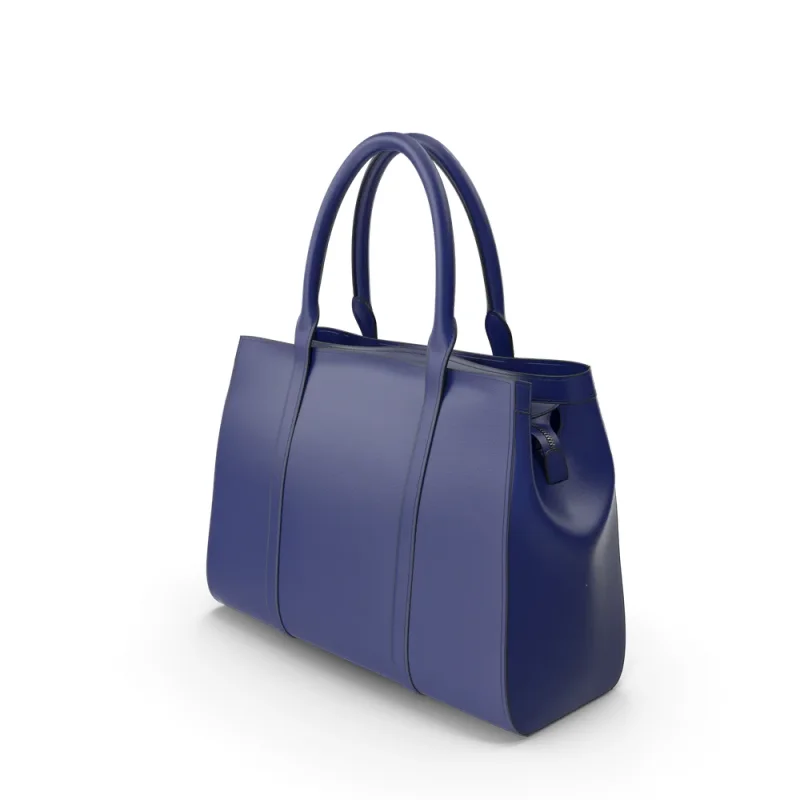 Blue Women's Handbag