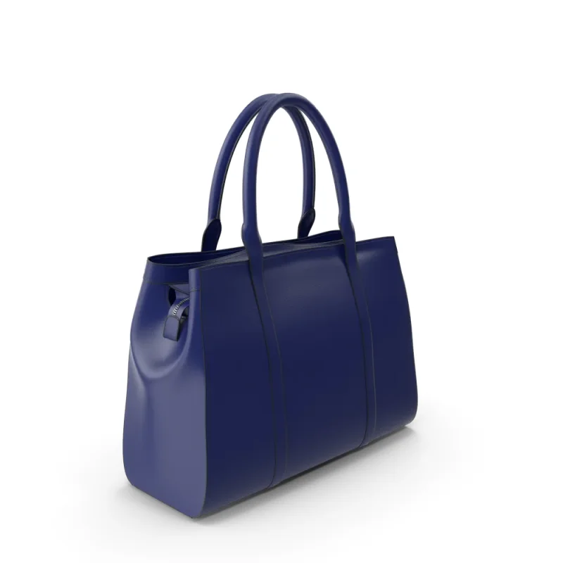 Blue Women's Handbag