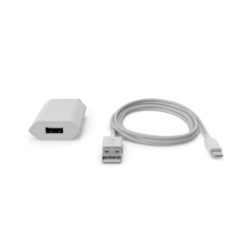 Apple iPhone Charger
