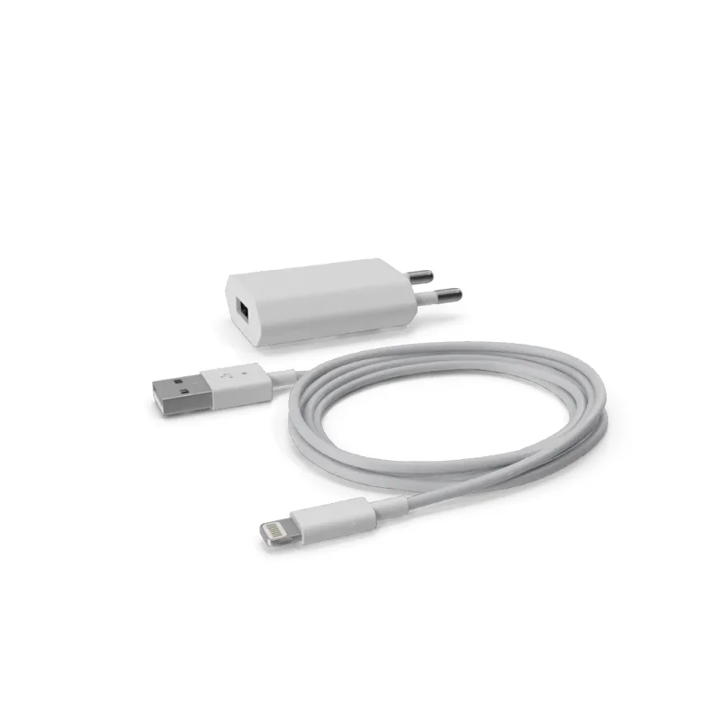 Apple iPhone Charger